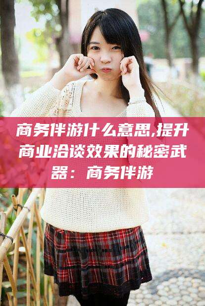 文山商务伴游什么意思,提升商业洽谈效果的秘密武器：商务伴游