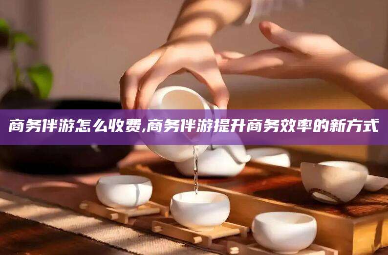 文山商务伴游怎么收费,商务伴游提升商务效率的新方式